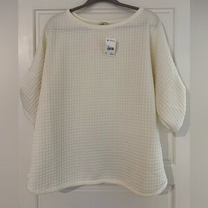 Max Studio Cream Textured Blouse
